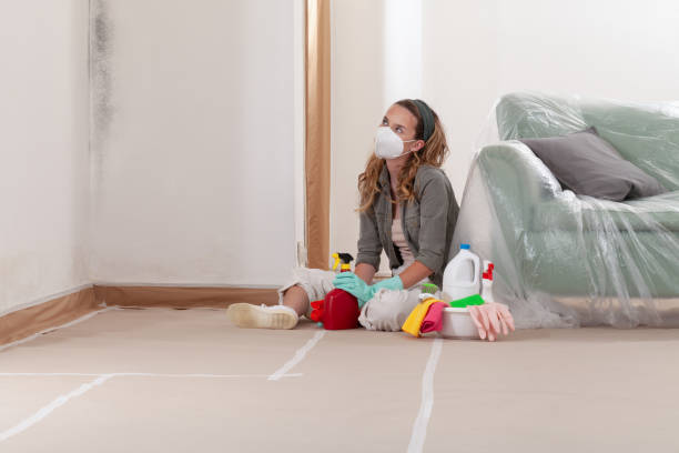 Reliable Black Mold Remediation contractor in Neshanic Station, NJ by Car Mold Remediation
